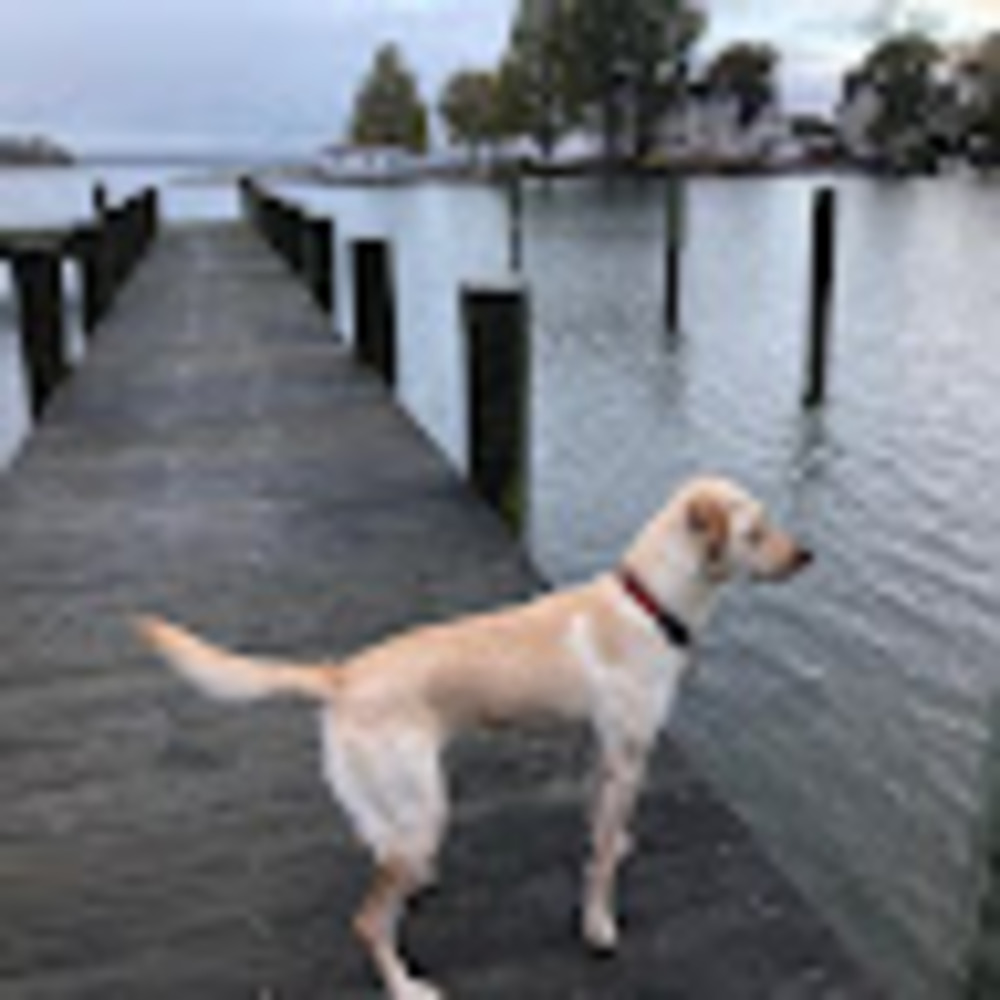 Meet your Posher, Isla